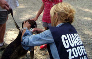 Abbandono animali. Savona sempre in guardia