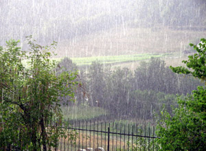 Primavera piovosa. Ma questo tempo cosa combina