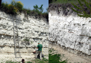 Leffetto serra? Sta ritardando la prossima glaciazione