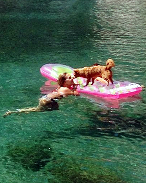 A spiaggia col cane in Liguria. Ecco dove puoi