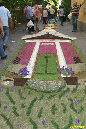 Sassello. In 'foto galleria' trovate gli scatti dell'infiorata del Corpus Domini