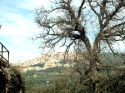 Tivoli il borgo