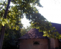 Sassello Madonna del Foresto