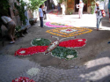 Sassello infiorata 4 ASN