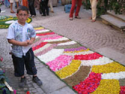 Sassello infiorata 5 ASN