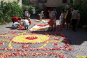 Sassello infiorata 6 G.Riva