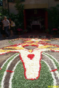 Sassello infiorata 7 G.Riva