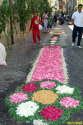 Sassello infiorata 13 G.Riva