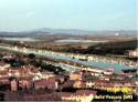 Castiglione 1 (Monica Comacchio)