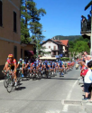 Giro d'Italia 2005 a Sassello (Dany)